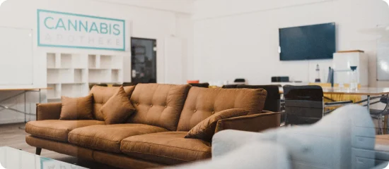 seminarraum-startseite-cannabis-apotheke Ein Blick in den Seminarraum der Cannabis Apotheke: Im Vordergrund sieht man zwei Sofas, im Hintergrund einen Bildschirm und ein Regal, über dem der Schriftzug Cannabis Apotheke hängt.